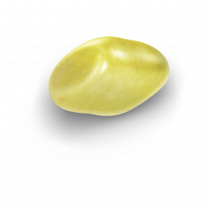 Yellow_SugarCoat
