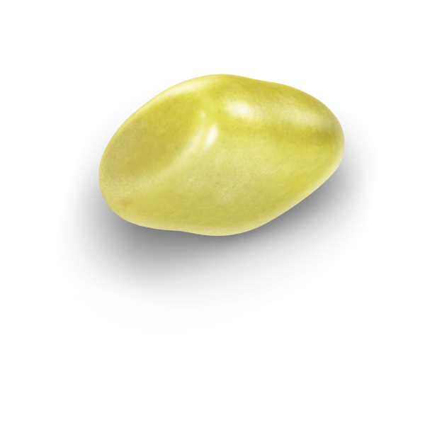 Yellow_SugarCoat