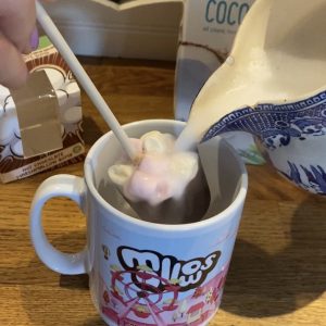 stirrer