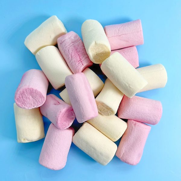 vegantics 1kg